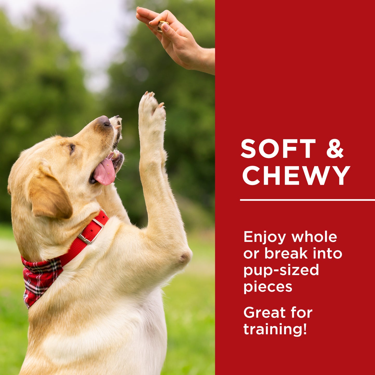 Beef Jerky Recipe - 1.36kg