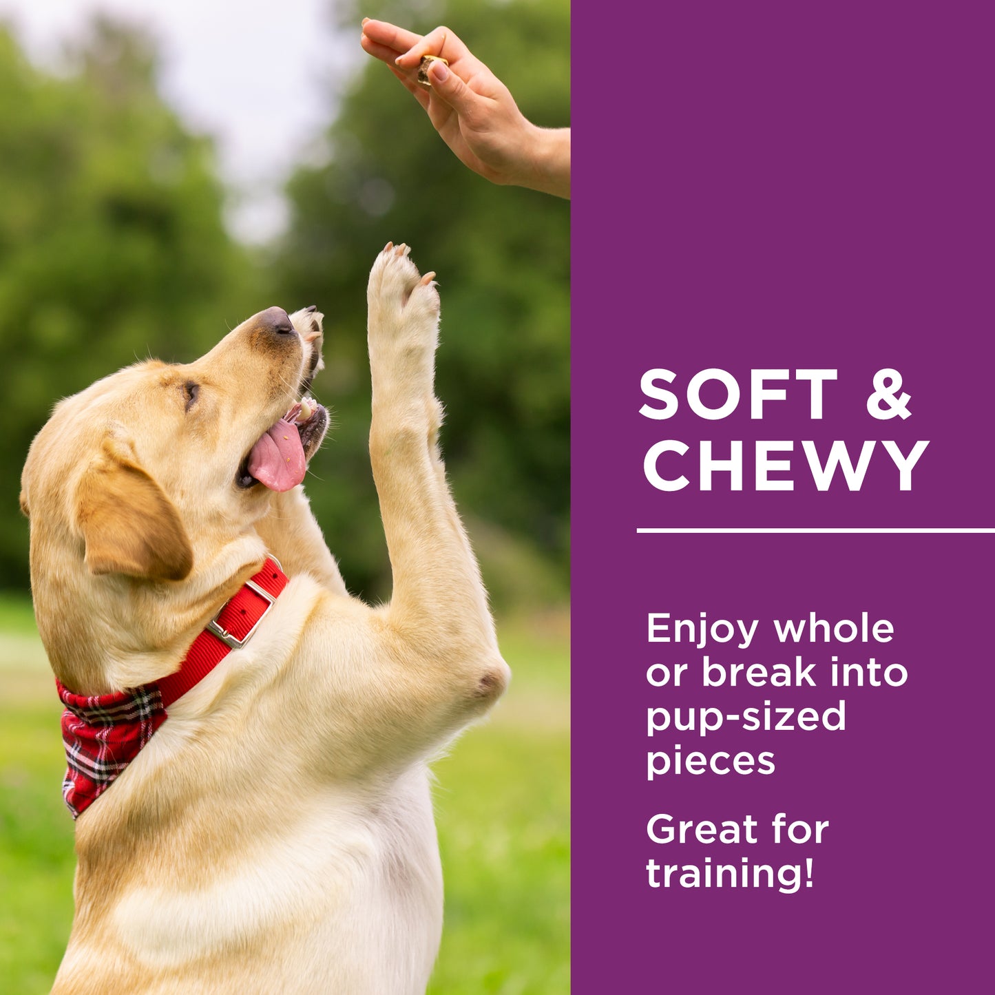 Chewy Chicken Sticks™ - 1.25kg