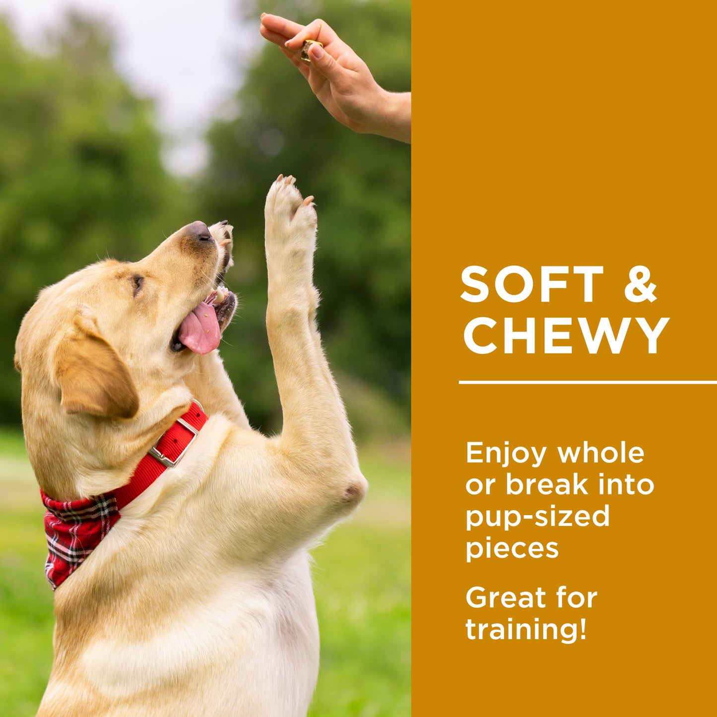 Chewy Lamb Sticks - 1.25kg